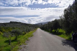 Οικόπεδο 11.000 τ.μ. για πώληση