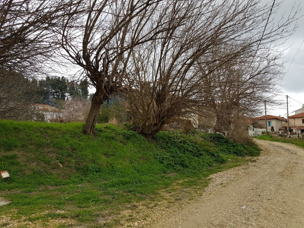Οικόπεδο 846 τ.μ. προς πώληση, Αγία Παρασκευή Παλλήνης