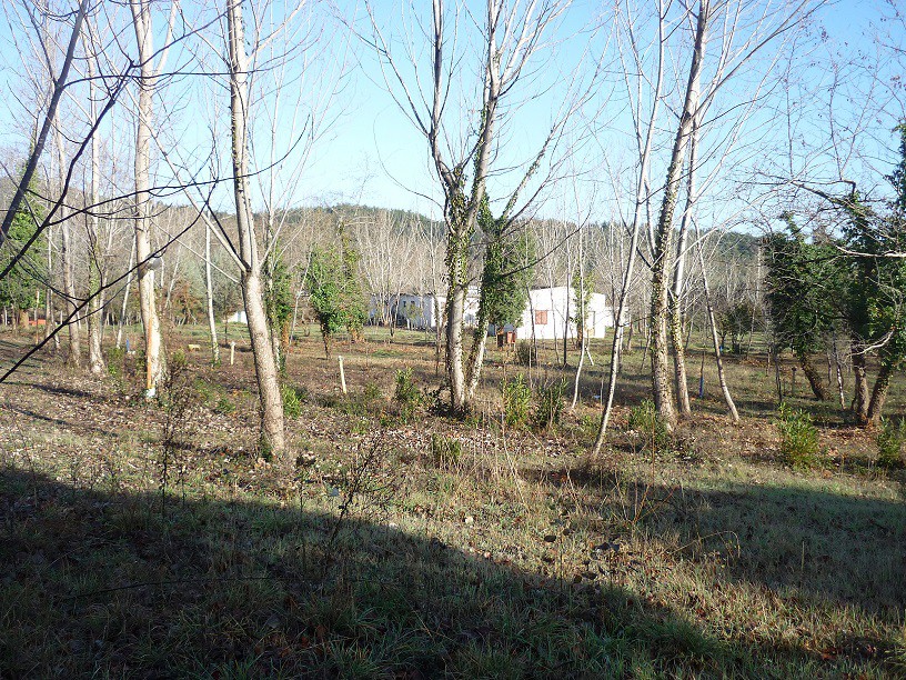 Επιχειρηματικό κτίριο 262 τ.μ. προς πώληση, Χρυσή Ακτή Αρναίας