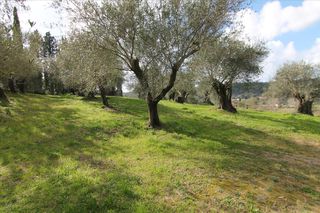 Οικόπεδο 6.135 τ.μ. προς πώληση, Εσπερίες-thumb-12