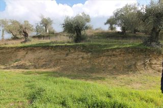 Οικόπεδο 6.135 τ.μ. προς πώληση, Εσπερίες-thumb-8