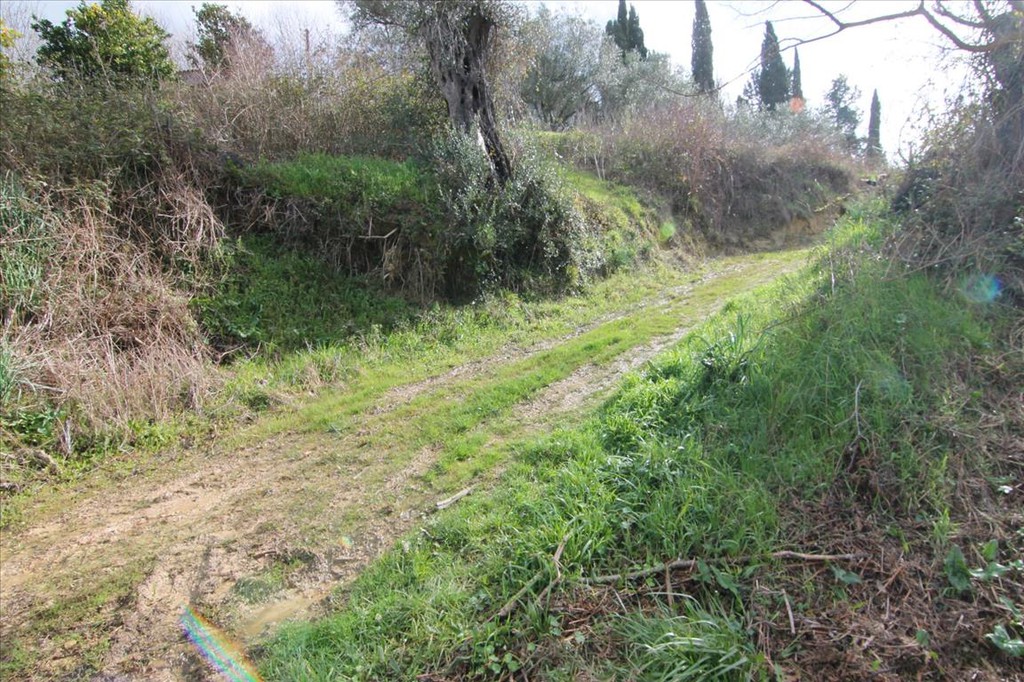 Οικόπεδο 6.135 τ.μ. προς πώληση, Εσπερίες