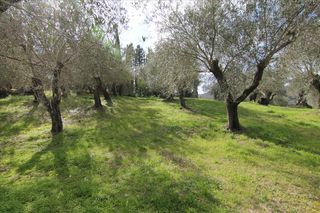 Οικόπεδο 6.135 τ.μ. προς πώληση, Εσπερίες-thumb-13