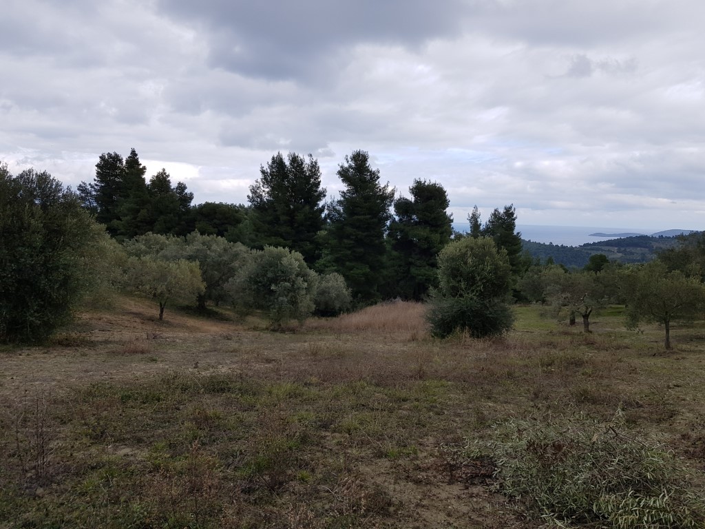Οικόπεδο 4.143 τ.μ. προς πώληση, Παλιούρι Παλλήνης