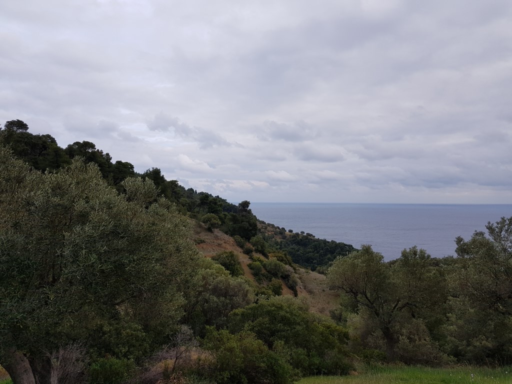Οικόπεδο 6.000 τ.μ. προς πώληση, Παλιούρι Παλλήνης