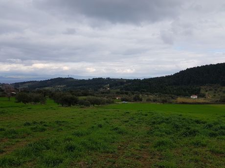 Land plot 5.000 sqm for sale