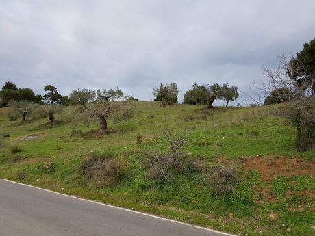 Οικόπεδο 6.000 τ.μ. προς πώληση
