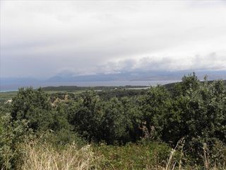 Οικόπεδο 15.000 τ.μ. πρός πώληση, Ν. Κέρκυρας, Κέρκυρα-thumb-11