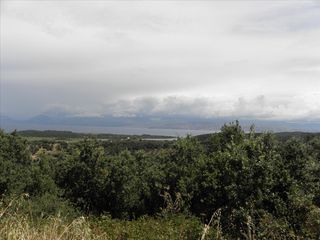 Οικόπεδο 15.000 τ.μ. πρός πώληση, Ν. Κέρκυρας, Κέρκυρα-thumb-8