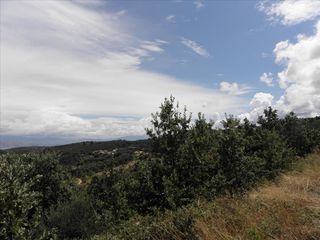 Οικόπεδο 15.000 τ.μ. πρός πώληση, Ν. Κέρκυρας, Κέρκυρα-thumb-6