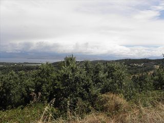 Οικόπεδο 15.000 τ.μ. πρός πώληση, Ν. Κέρκυρας, Κέρκυρα-thumb-13