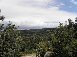 Οικόπεδο 15.000 τ.μ. πρός πώληση, Ν. Κέρκυρας, Κέρκυρα-thumb-2