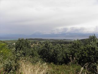 Οικόπεδο 15.000 τ.μ. για πώληση