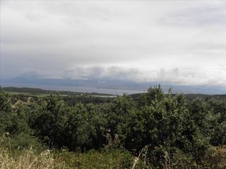 Οικόπεδο 15.000 τ.μ. πρός πώληση, Ν. Κέρκυρας, Κέρκυρα-thumb-9