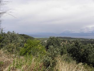 Οικόπεδο 15.000 τ.μ. πρός πώληση, Ν. Κέρκυρας, Κέρκυρα-thumb-7