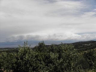 Οικόπεδο 15.000 τ.μ. πρός πώληση, Ν. Κέρκυρας, Κέρκυρα-thumb-5