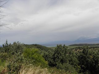 Οικόπεδο 15.000 τ.μ. πρός πώληση, Ν. Κέρκυρας, Κέρκυρα-thumb-4