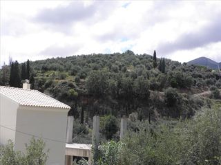 Οικόπεδο 15.000 τ.μ. πρός πώληση, Ν. Κέρκυρας, Κέρκυρα-thumb-14