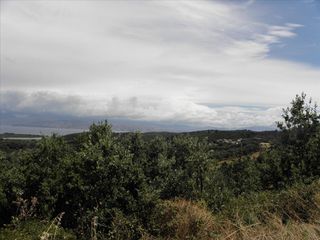 Οικόπεδο 15.000 τ.μ. πρός πώληση, Ν. Κέρκυρας, Κέρκυρα-thumb-10