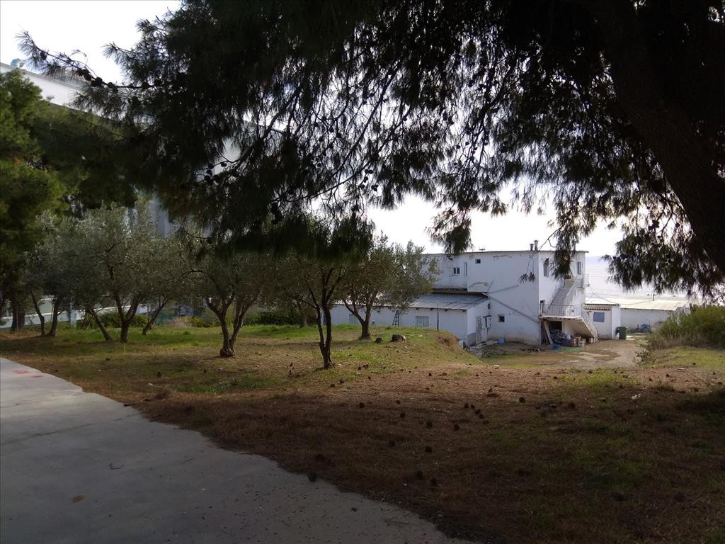 Οικόπεδο 900 τ.μ. προς πώληση, Ψακούδια