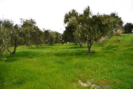 Οικόπεδο 2.240 τ.μ. για πώληση