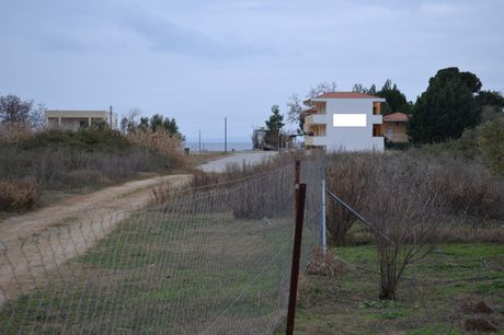 Land plot 1.000 sqm for sale