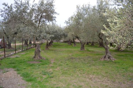 Land plot 400 sqm for sale