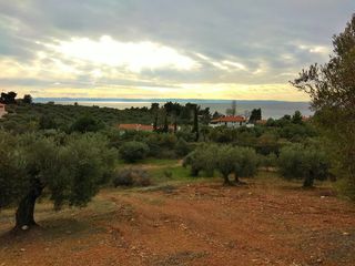Οικόπεδο 6.460 τ.μ. για πώληση