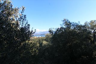 Οικόπεδο 4.000 τ.μ. για πώληση
