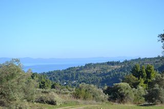 Οικόπεδο 11.738 τ.μ. για πώληση