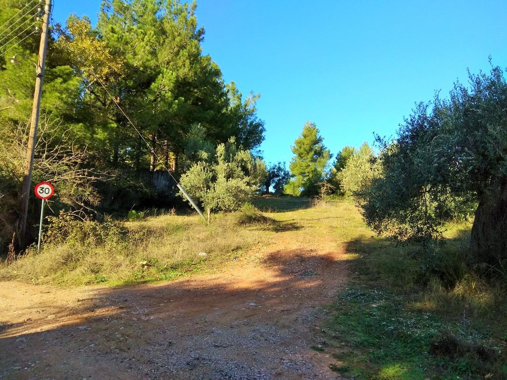 Οικόπεδο 1.300 τ.μ. προς πώληση, Μεταμόρφωση Ορμύλιας