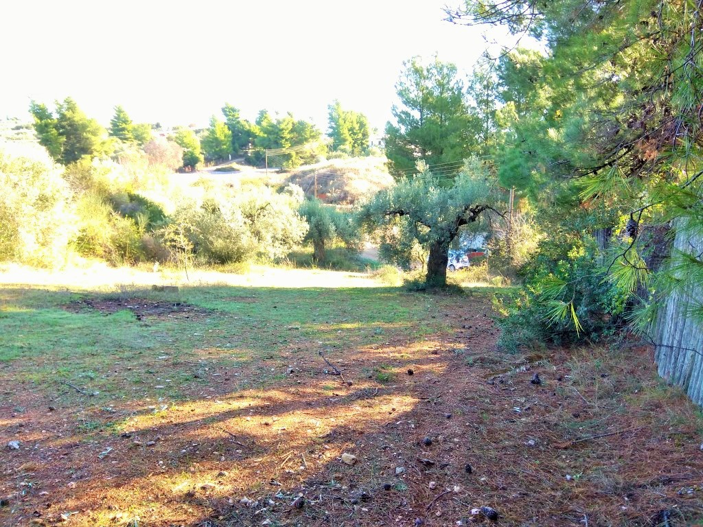 Οικόπεδο 1.300 τ.μ. προς πώληση, Μεταμόρφωση Ορμύλιας