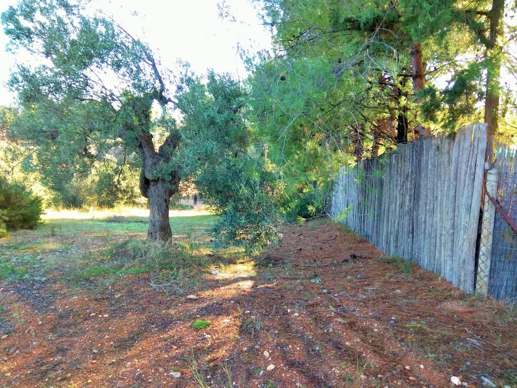 Οικόπεδο 1.300 τ.μ. προς πώληση, Μεταμόρφωση Ορμύλιας