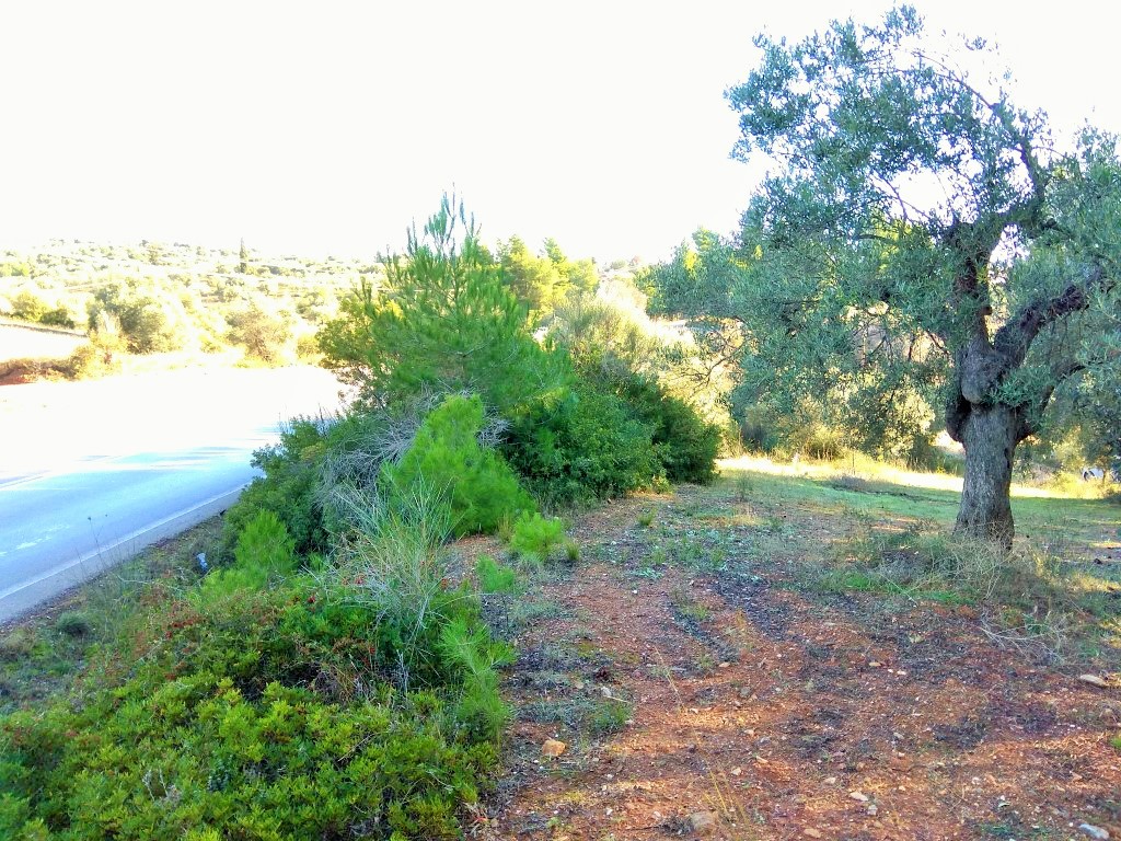 Οικόπεδο 1.300 τ.μ. προς πώληση, Μεταμόρφωση Ορμύλιας
