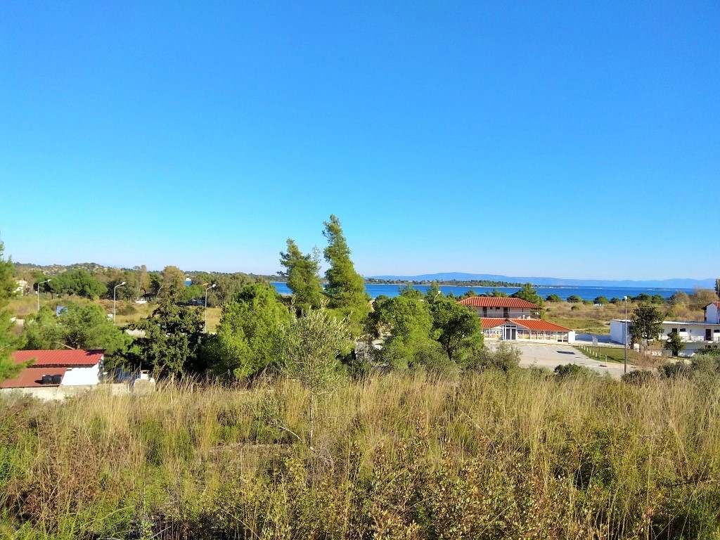 Οικόπεδο 36.000 τ.μ. προς πώληση, Κέντρο Σιθωνίας