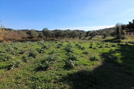 Land plot 1.250sqm for sale-Corfu » ΑGios Georgios