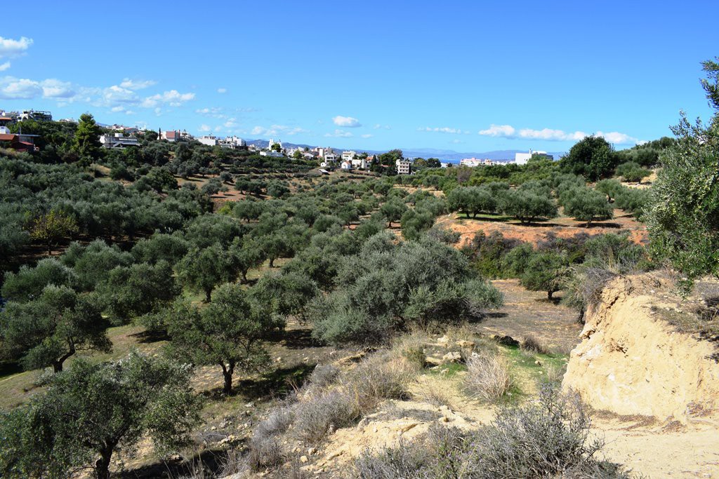 Οικόπεδο 9.848 τ.μ. προς πώληση, Λενταριανά