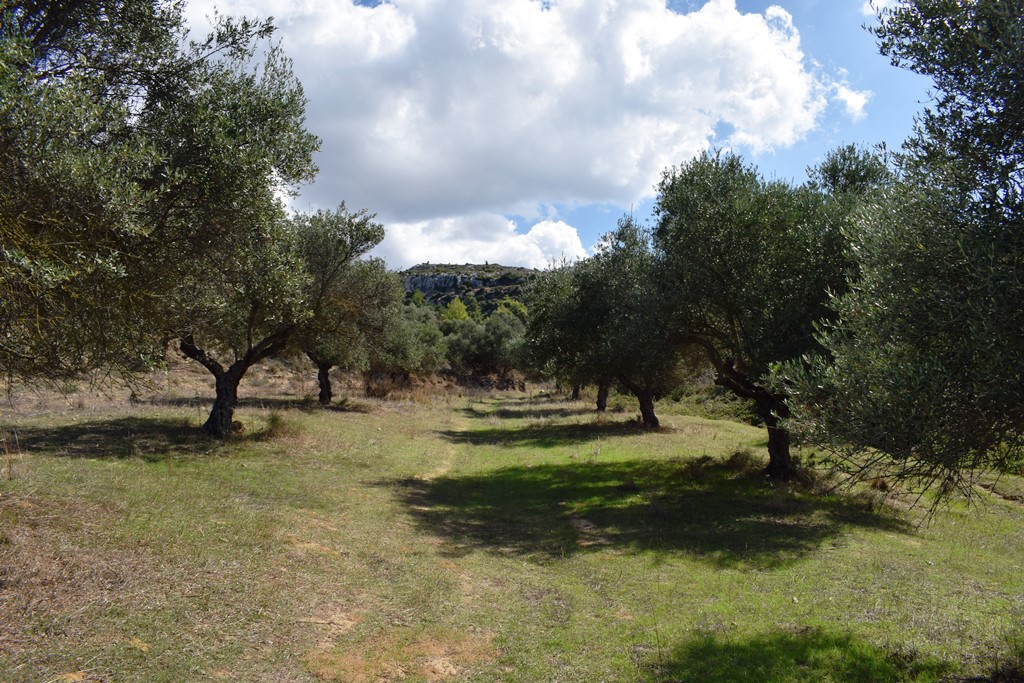 Οικόπεδο 9.848 τ.μ. προς πώληση, Λενταριανά