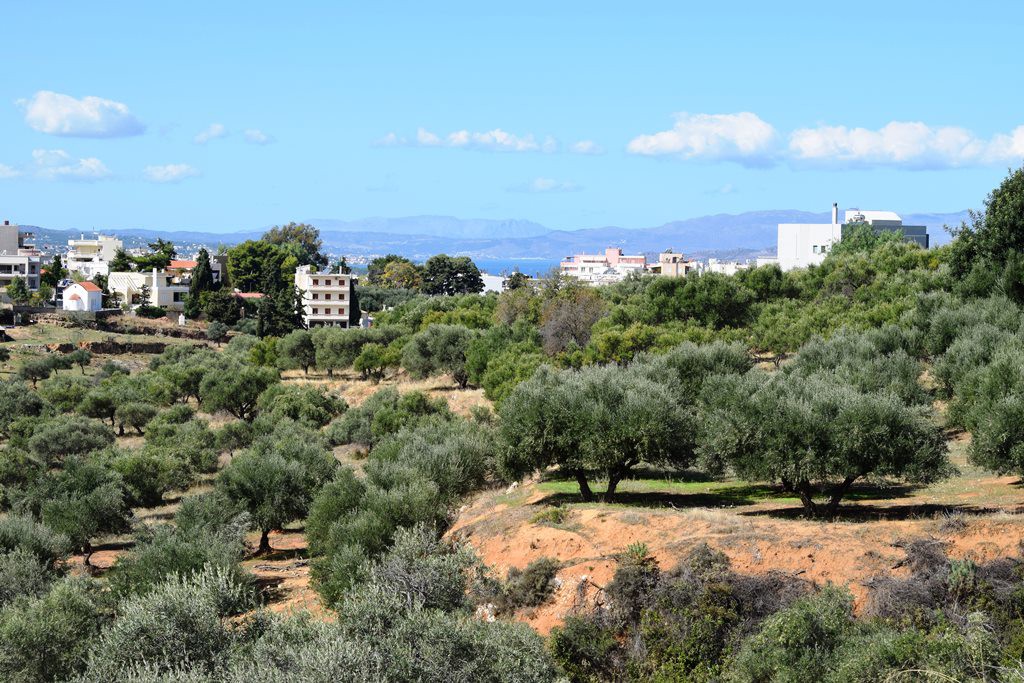 Οικόπεδο 9.848 τ.μ. προς πώληση, Λενταριανά