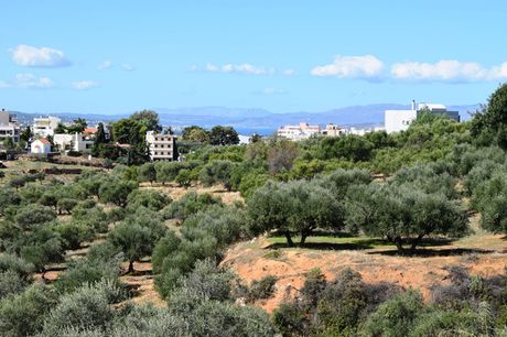 Οικόπεδο 9.848τ.μ. για πώληση-Χανιά » Λενταριανά