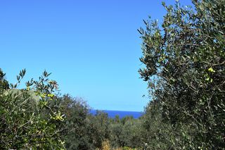 Οικόπεδο 2.010 τ.μ. για πώληση