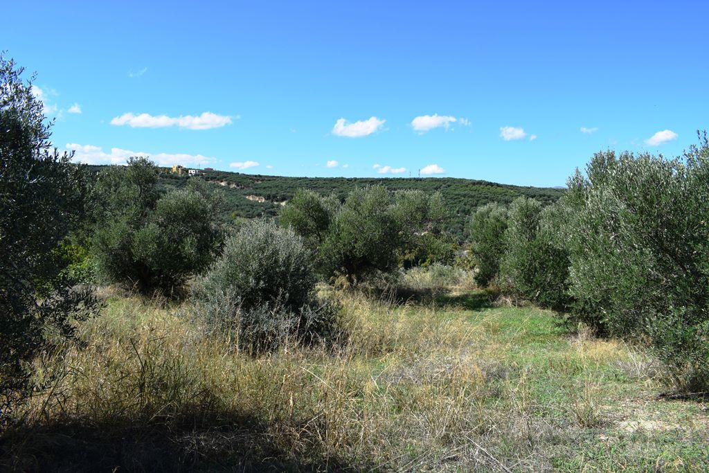 Οικόπεδο 2.010 τ.μ. προς πώληση, Κοντομάρι