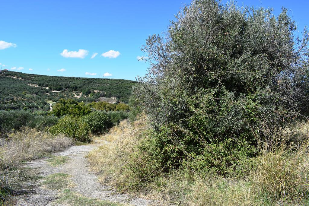 Οικόπεδο 2.010 τ.μ. προς πώληση, Κοντομάρι