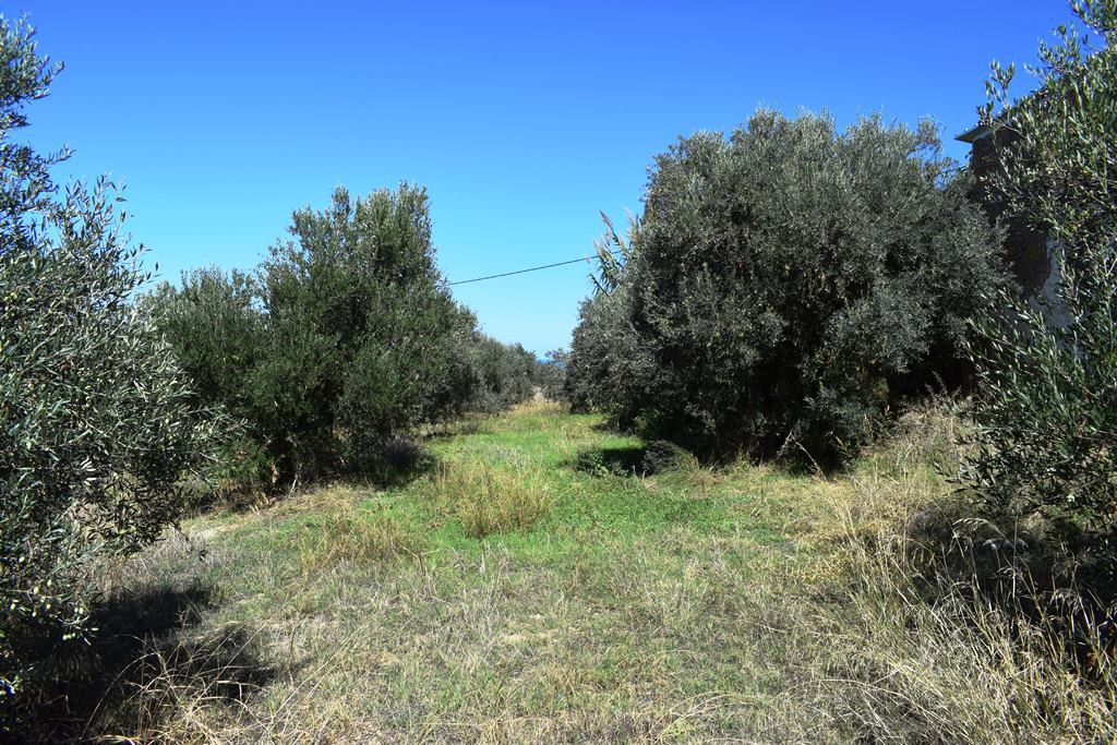 Οικόπεδο 2.010 τ.μ. προς πώληση, Κοντομάρι