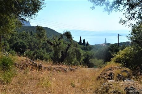 Οικόπεδο 5.000 τ.μ. για πώληση