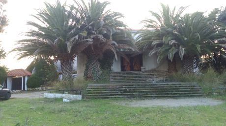 Επαγγελματικό 1.200 τ.μ. προς πώληση