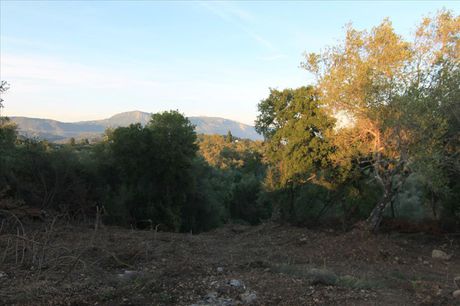 Οικόπεδο 5.740 τ.μ. για πώληση
