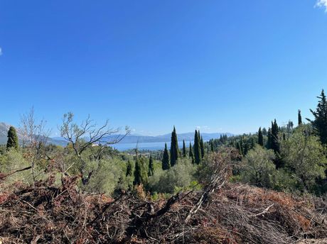 Οικόπεδο 4.100 τ.μ. για πώληση