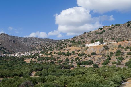 Land plot 550 sqm for sale
