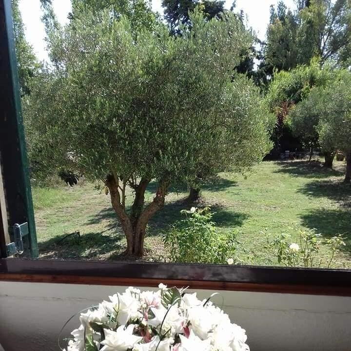 Μονοκατοικία 97 τ.μ. προς πώληση, Παραλία Νικήτης